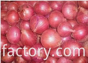 Exporters fresh market prices red onion for importers